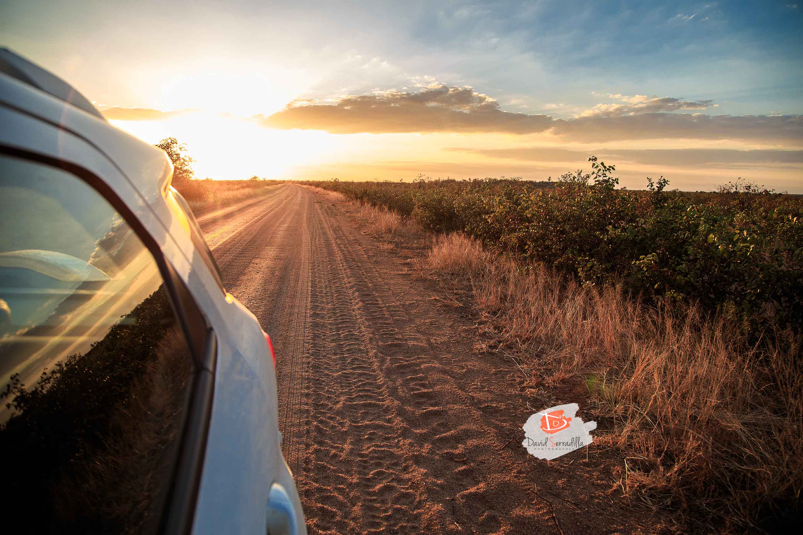 Consejos para viajar al Kruger N.P.