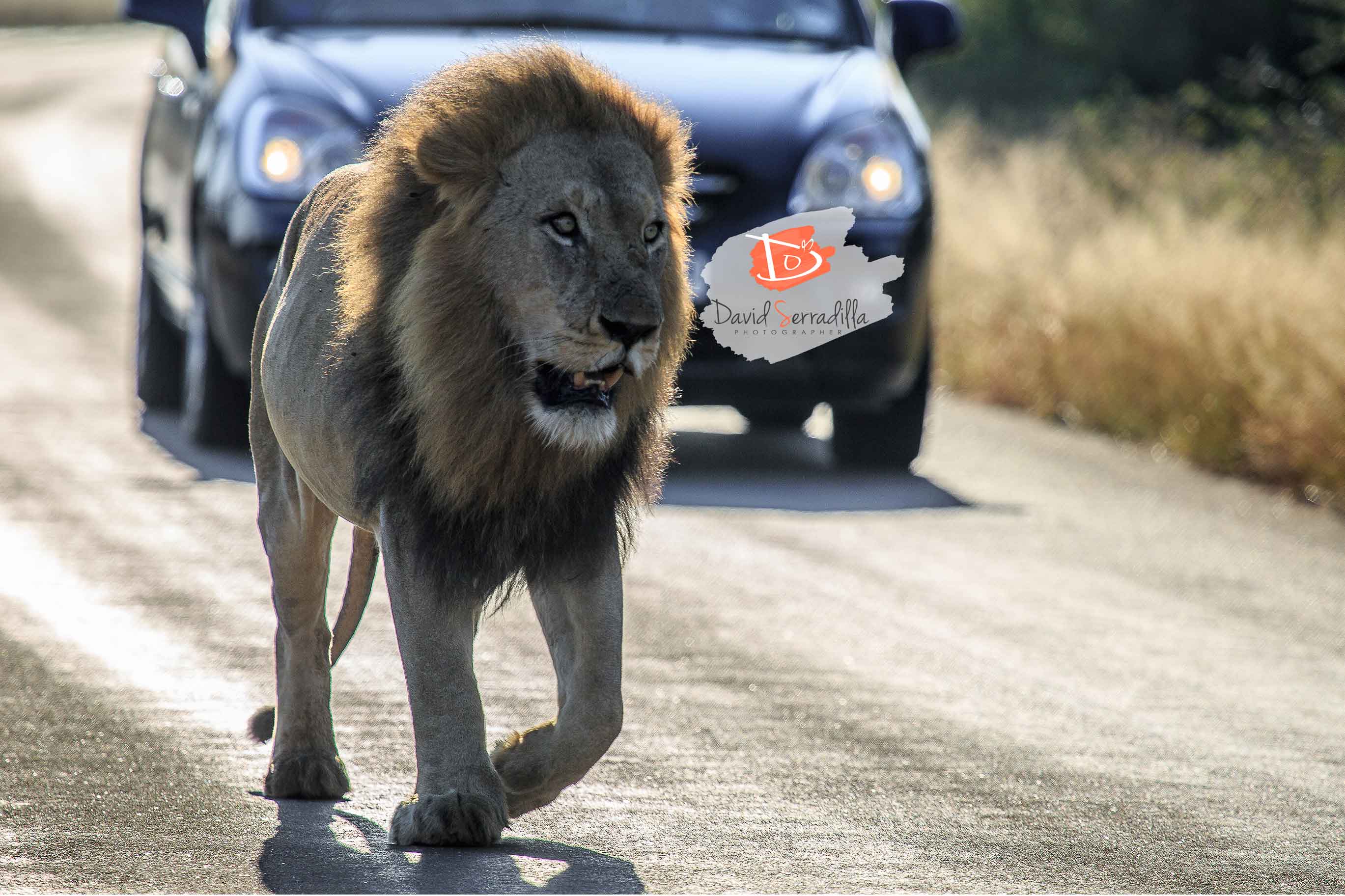 Kruger National Park